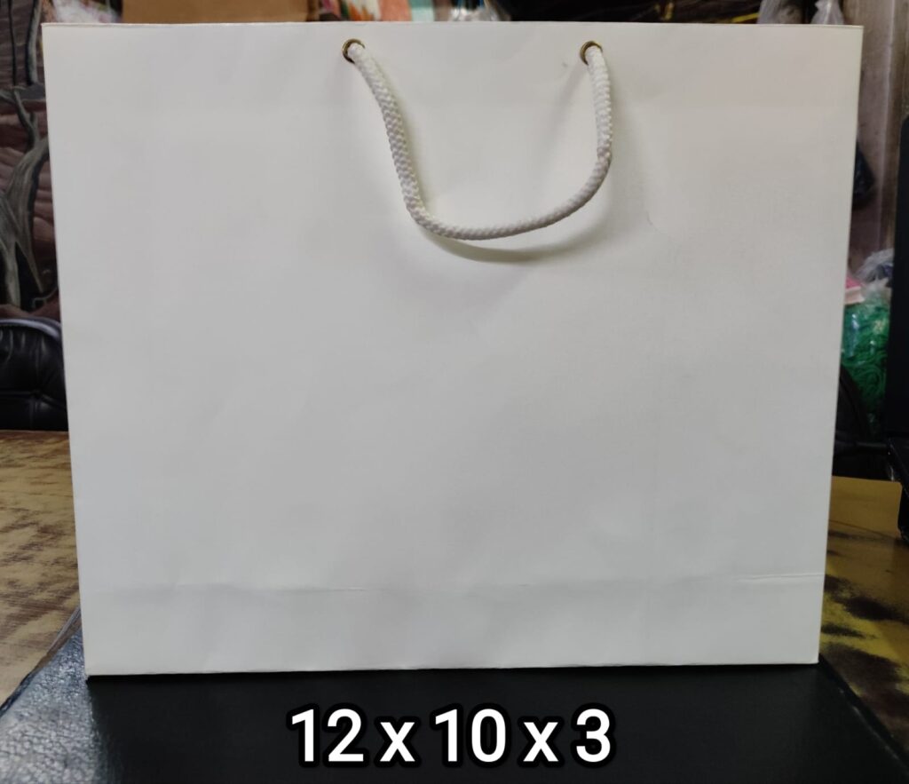 12x10x3 white paper bag