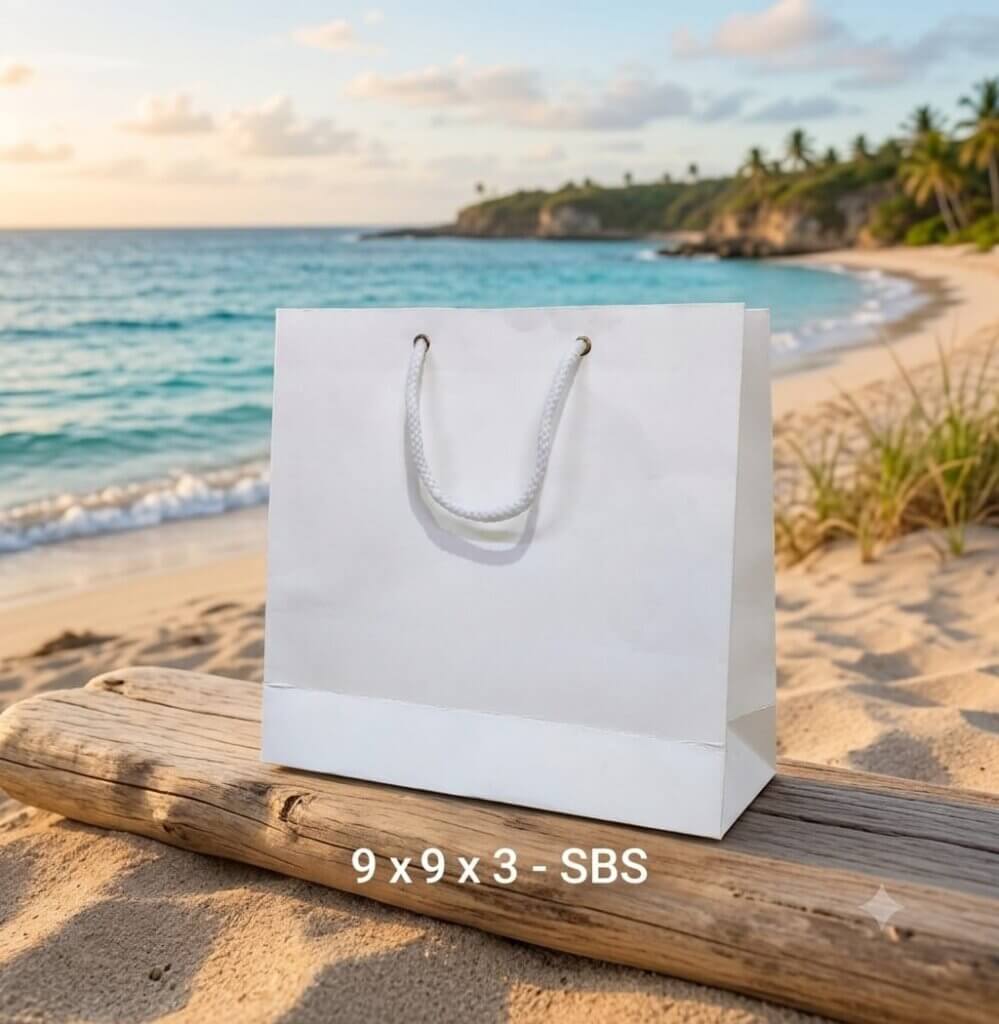 PAPER BAG WHITE 9X9X3